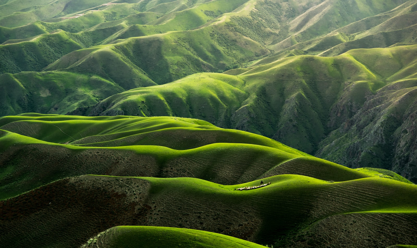 Rolling green hills folding into a mountain landscape