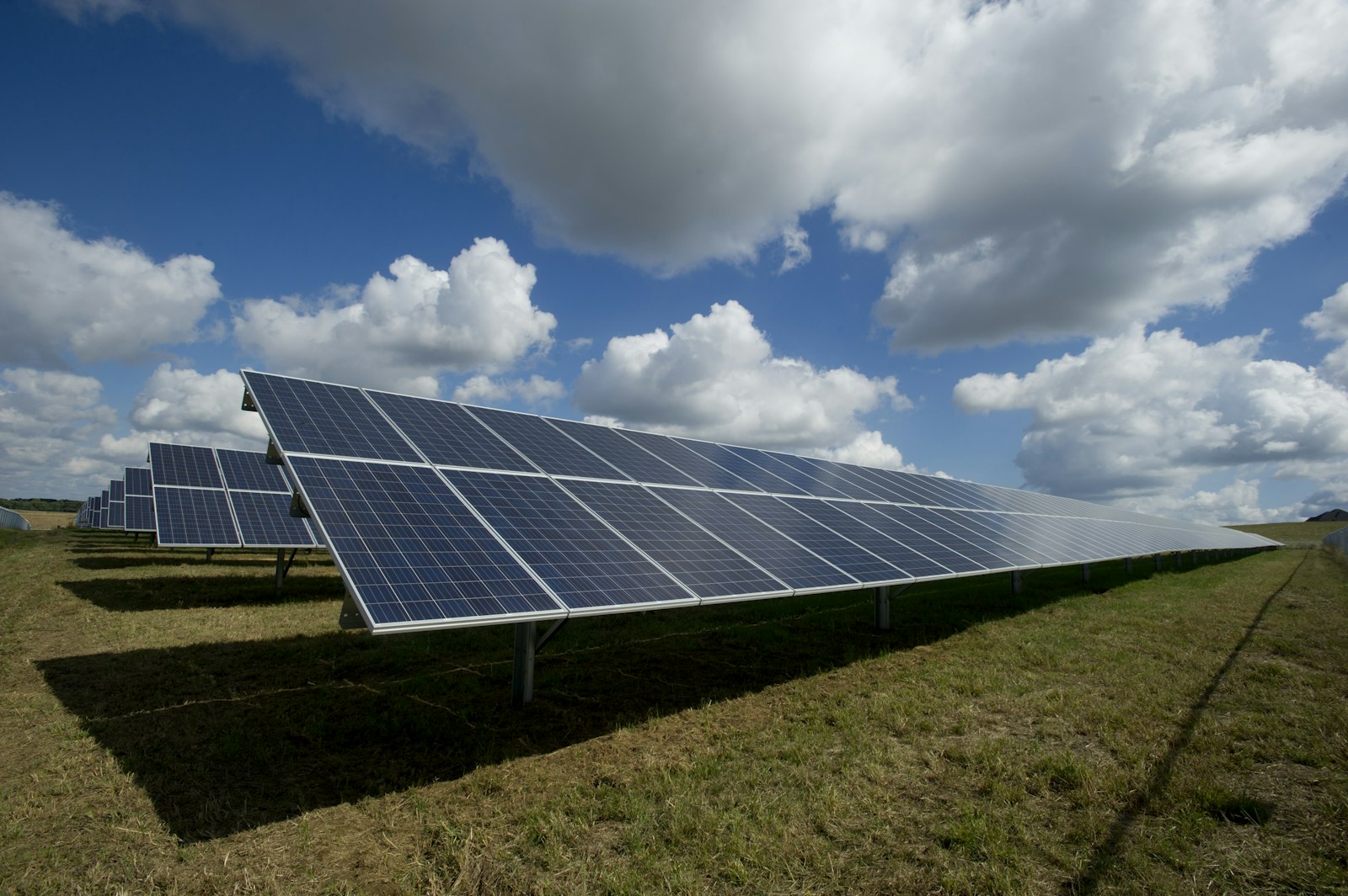 Rows of solar panels in a green field under a blue sky
